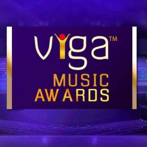 2015 VIGA Awards NOMINATION GUIDELINES